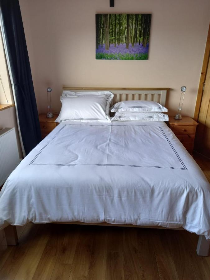 Benbulben View F91Yn96 Bed and Breakfast Σλίγκο Εξωτερικό φωτογραφία
