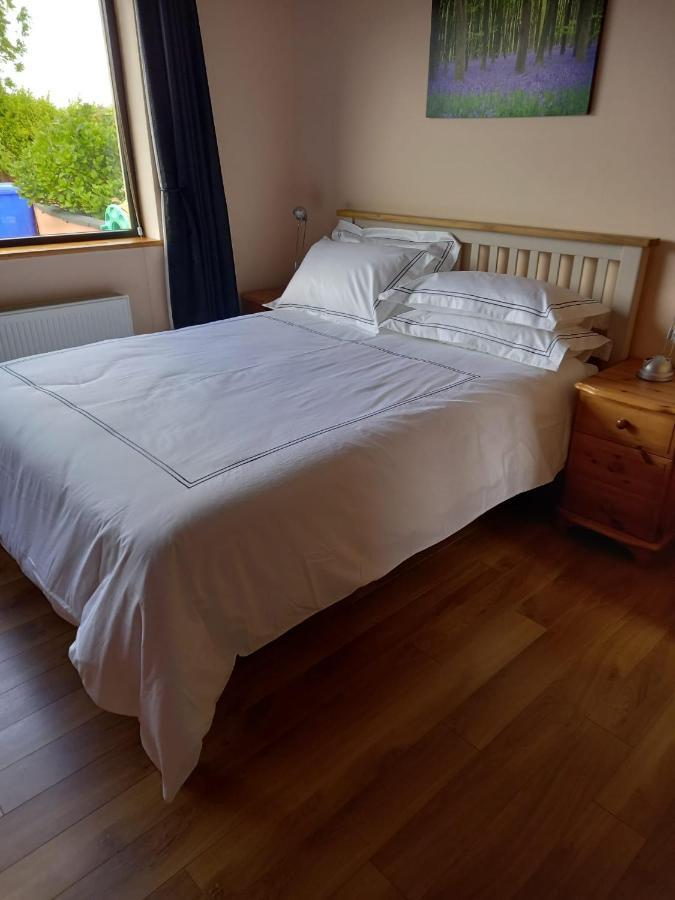 Benbulben View F91Yn96 Bed and Breakfast Σλίγκο Εξωτερικό φωτογραφία